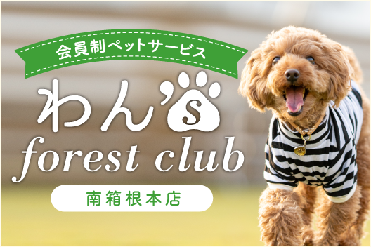 わん‘s forest club